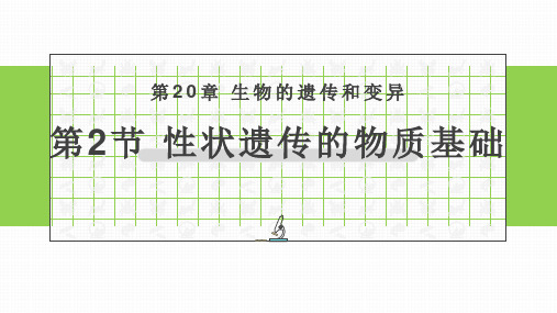 初中生物北师大版八年级上册20.2 性状遗传的物质基础看见