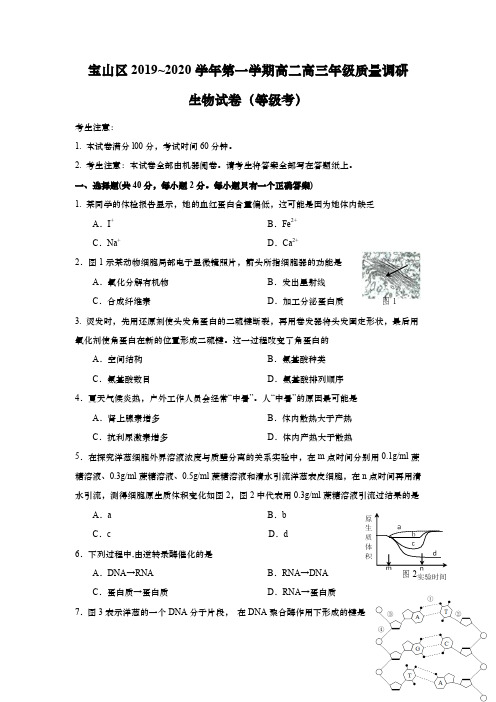 上海市宝山区2020年高二高三第一学期期末(一模)学科质量检测生物试题及答案(word版)