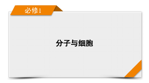 必修1 第4单元 微专题 减数分裂与可遗传变异的关系