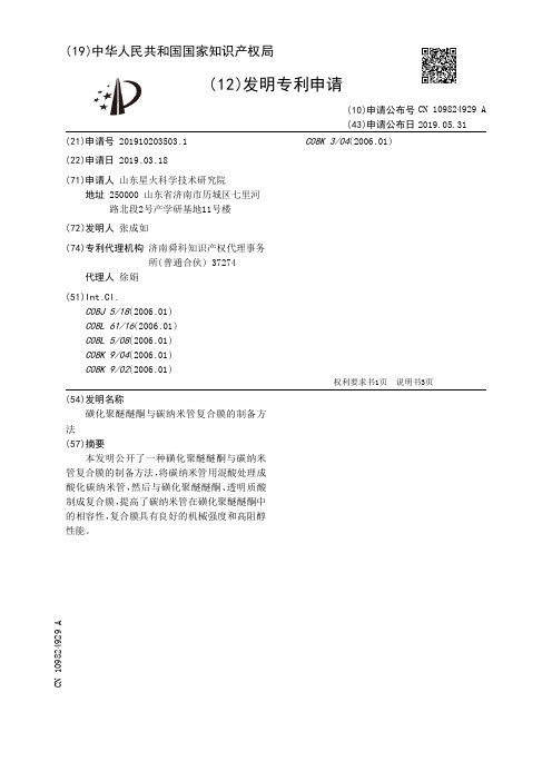 【CN109824929A】磺化聚醚醚酮与碳纳米管复合膜的制备方法【专利】