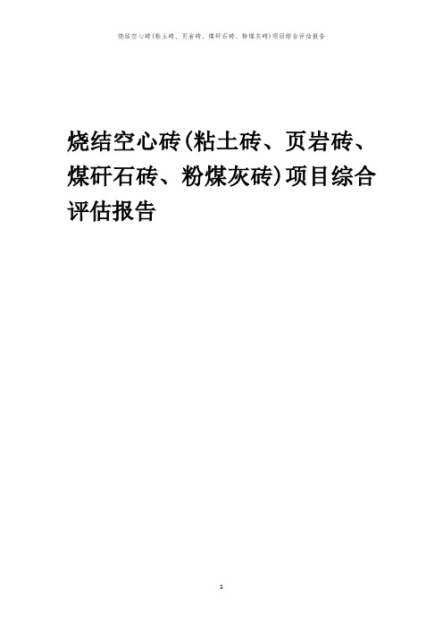 2023年烧结空心砖(粘土砖、页岩砖、煤矸石砖、粉煤灰砖)项目综合评估报告