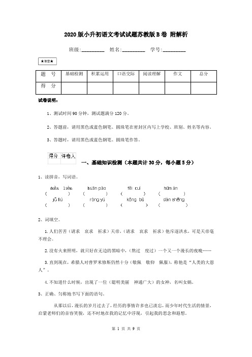 2020版小升初语文考试试题苏教版B卷 附解析