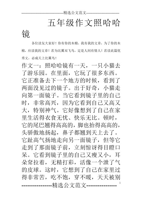 五年级作文照哈哈镜