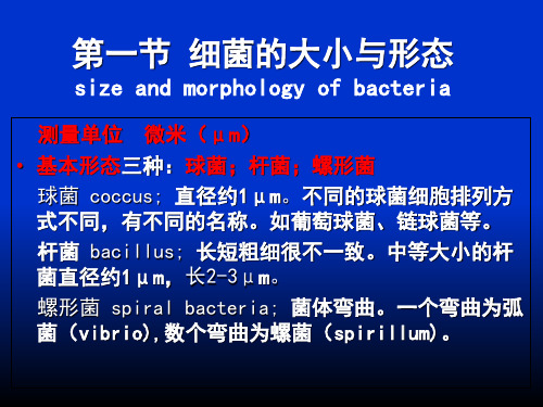(01)细菌的形态与结构-PPT课件