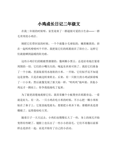 小鸡成长日记二年级文