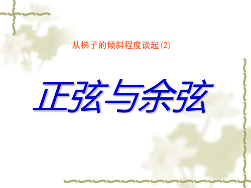 初中九年级数学 从梯子的倾斜程度谈起(二)课件