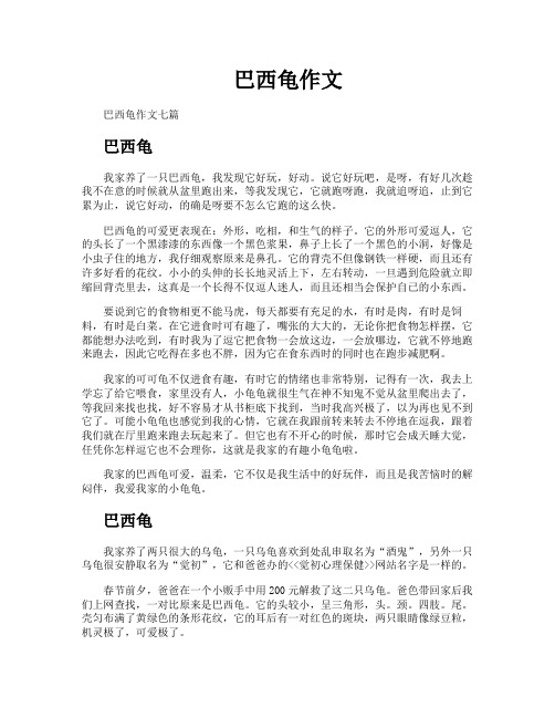 巴西龟作文