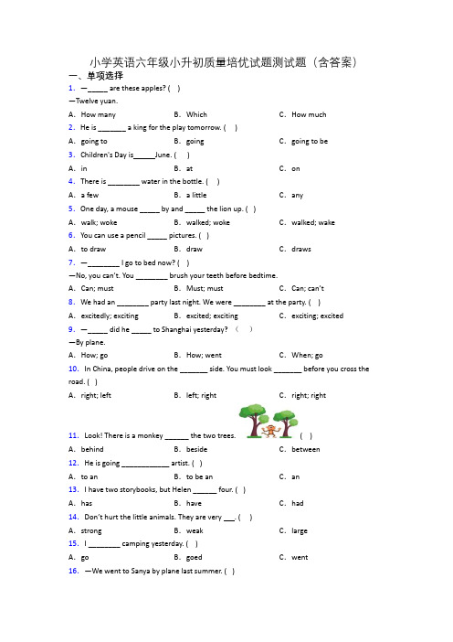 小学英语六年级小升初质量培优试题测试题(含答案)