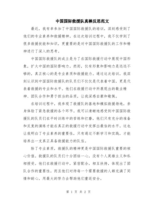 中国国际救援队真棒反思范文