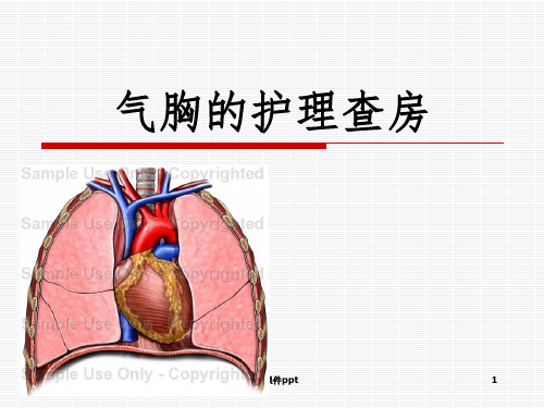 《气胸的护理查房》PPT课件