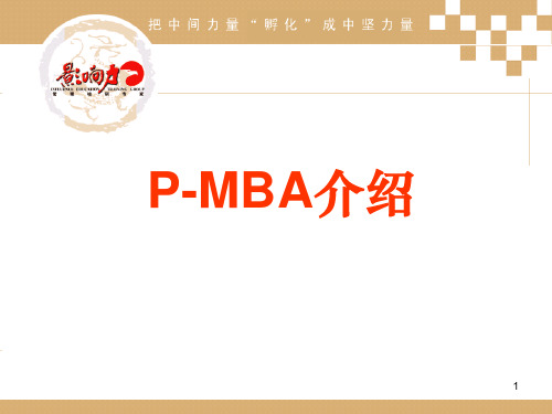 P-MBA介绍PPT课件