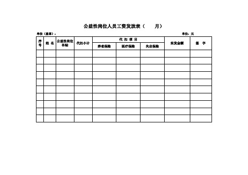 公益性岗位工资发放表(样表)