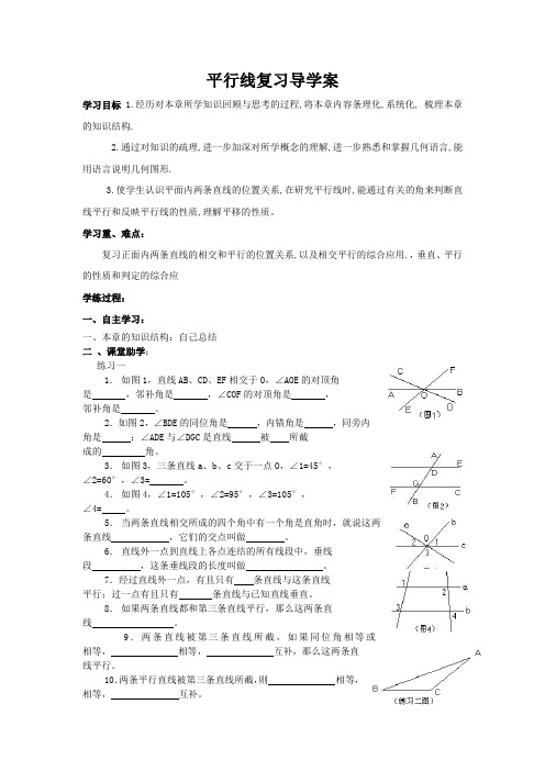 平行线复习导学案