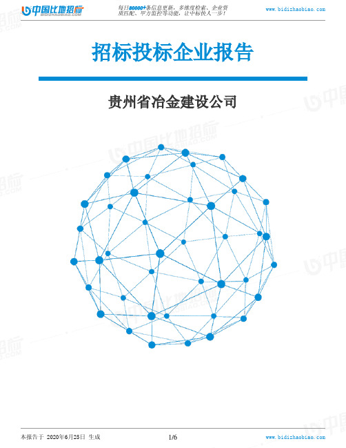 贵州省冶金建设公司-招投标数据分析报告