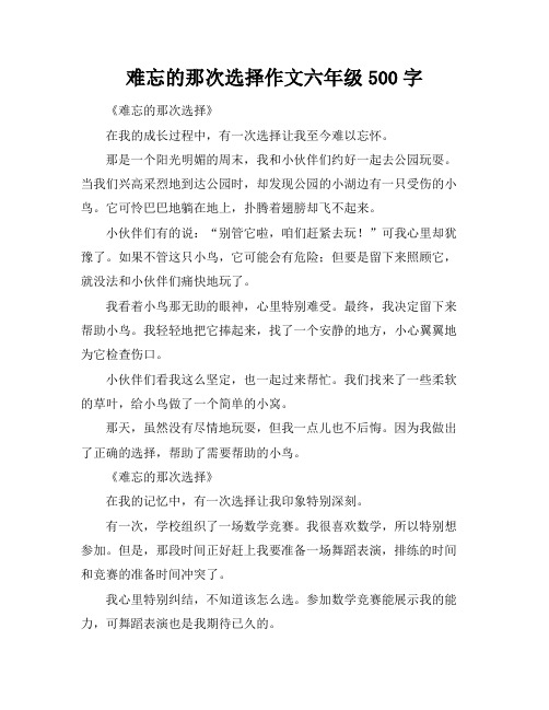 难忘的那次选择作文六年级500字