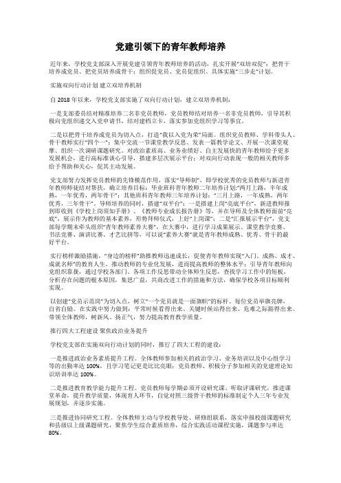 党建引领下的青年教师培养