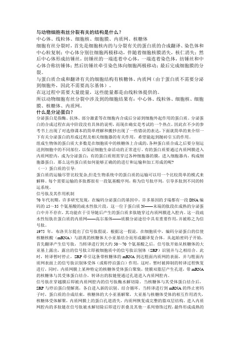 与动物细胞有丝分裂有关的结构是什么