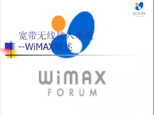 宽带无线接入系统wimax