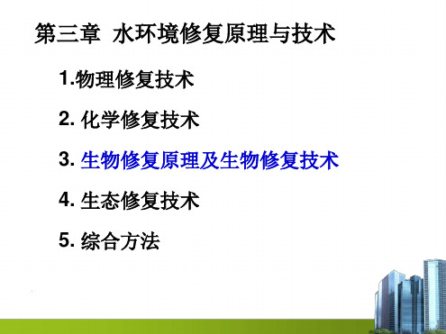 水环境修复原理与技术PPT课件