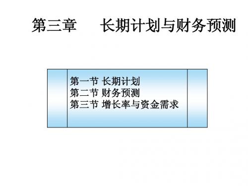 长期计划与财务预测