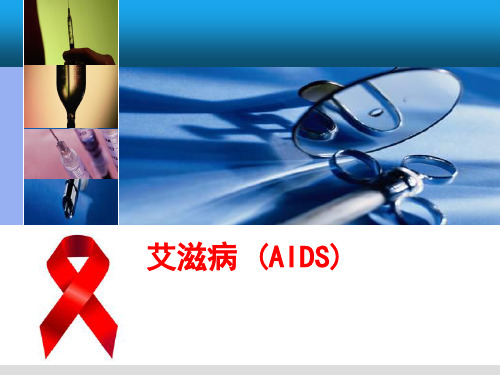 HIV PPT课件