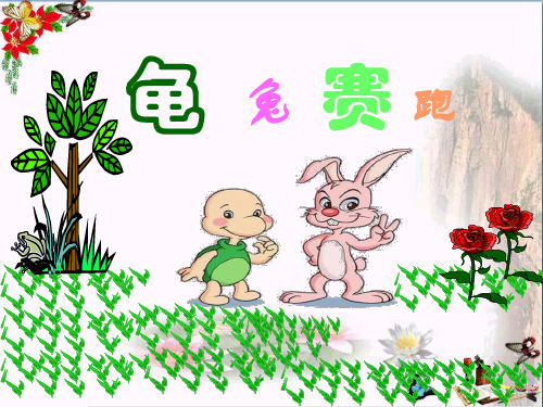 幼儿园中班故事《龟兔赛跑》PPT精品课件