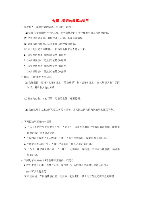 北仑区实验中学九年级语文上册 专题二 词语的理解与运用试题 新人教版