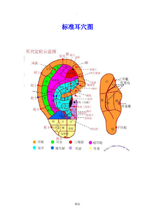 标准耳穴图