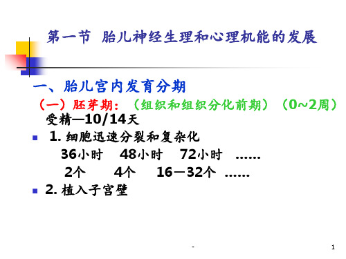 胎儿的生理心理发展(1)PPT课件