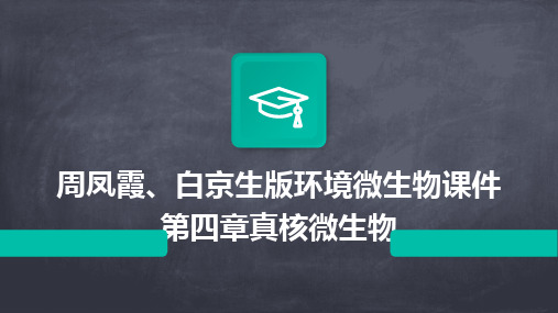2024版周凤霞、白京生版环境微生物课件第四章真核微生物