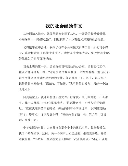 我的社会经验作文