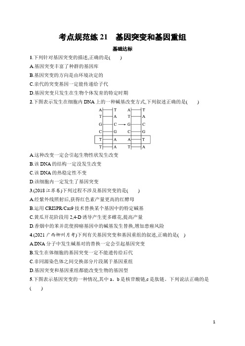 高中生物高频考点及答案21 基因突变和基因重组