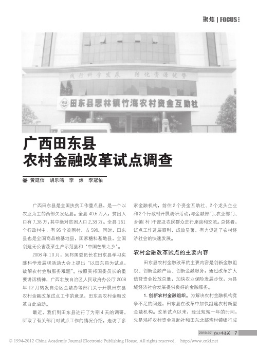 广西田东县农村金融改革试点调查_黄延信