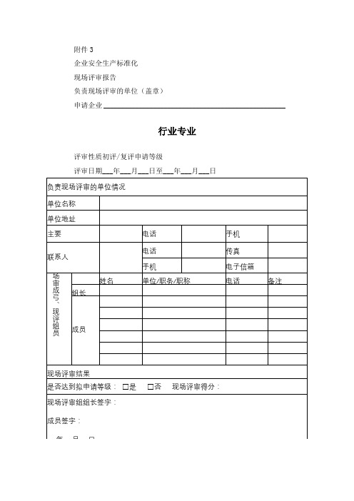 企业安全生产标准化现场评审报告自评报告