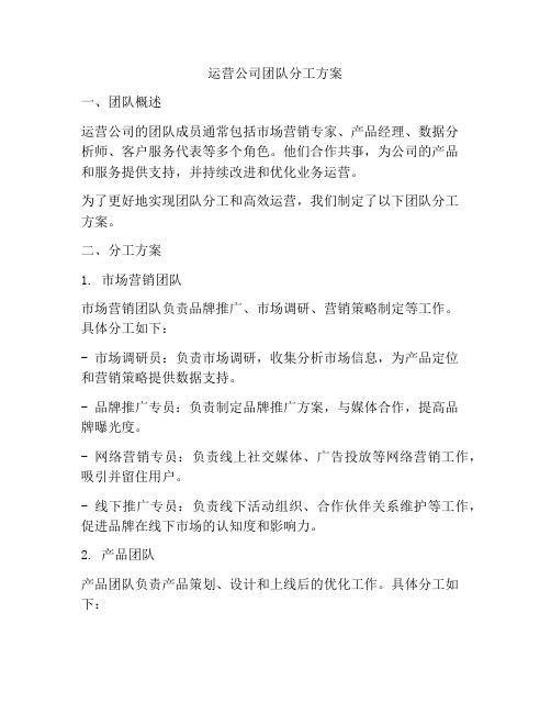 运营公司团队分工方案