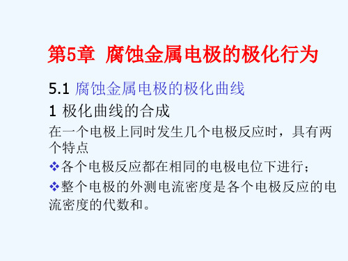 5章腐蚀金属电极的极化
