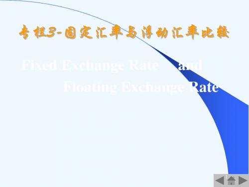 3固定汇率与浮动汇率比较.ppt