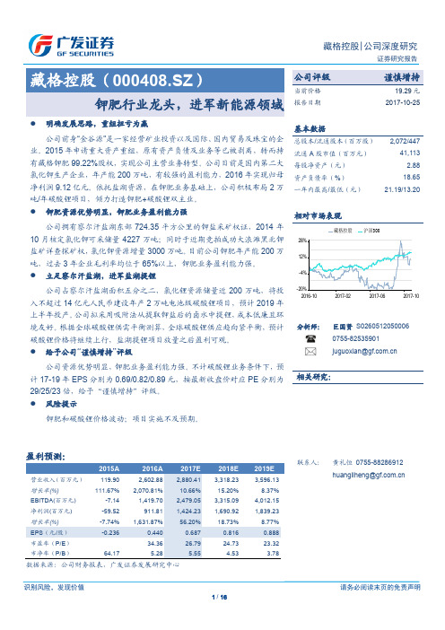 藏格控股：进军新能源领域 谨慎增持评级