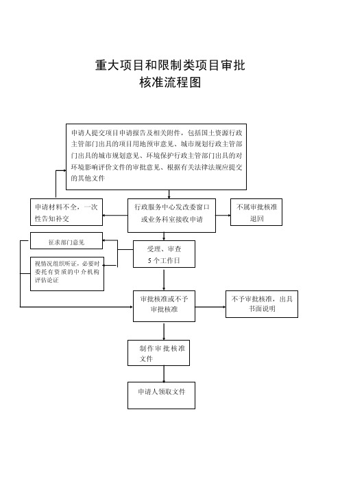 重大项目和限制类项目审批