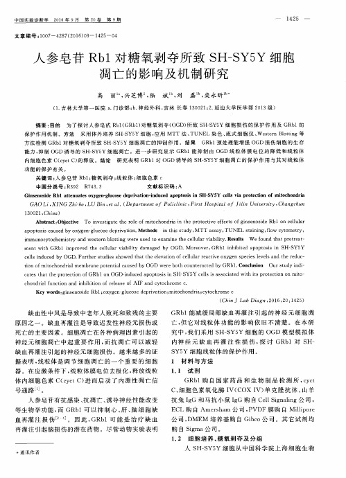 人参皂苷Rb1对糖氧剥夺所致SH-SY5Y细胞凋亡的影响及机制研究