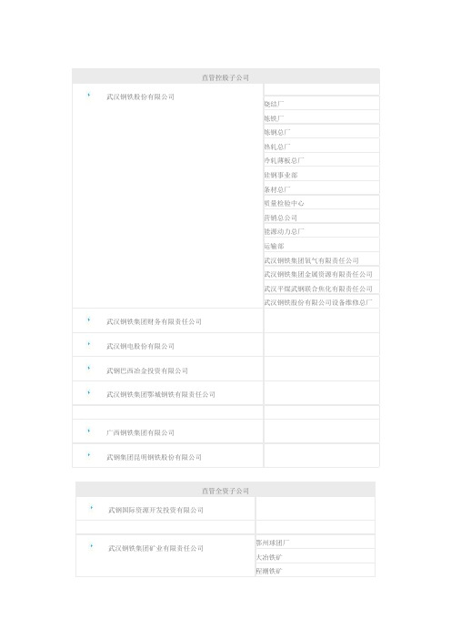 直管控股子公司