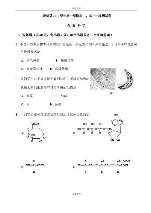 精选上海市崇明县2018-2019学年高三上学期一模测试生命科学试卷（附参考答案）