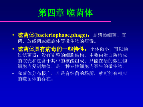 噬菌体具有病毒的一些特性：个体微小,可以通过滤菌器;