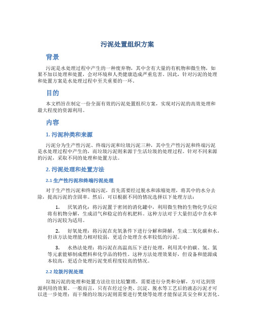 污泥处置组织方案