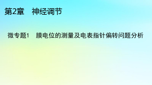 高中生物第2章神经调节微专题1膜电位的测量及电表指针偏转问题分析新人教版选择性必修1