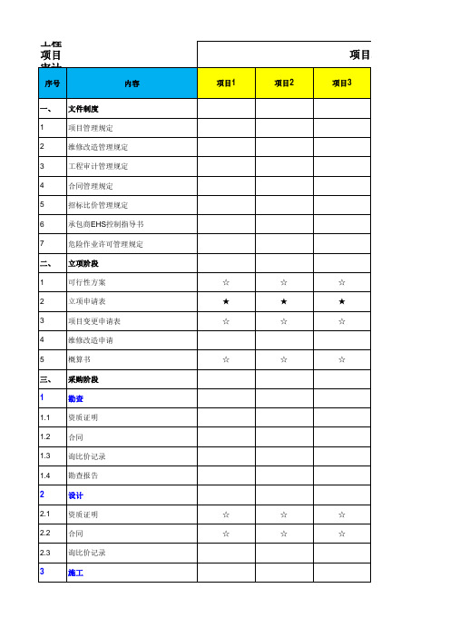 工程项目审计表格