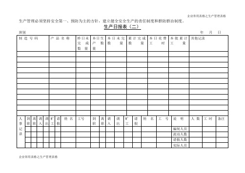 生产日报表(二)