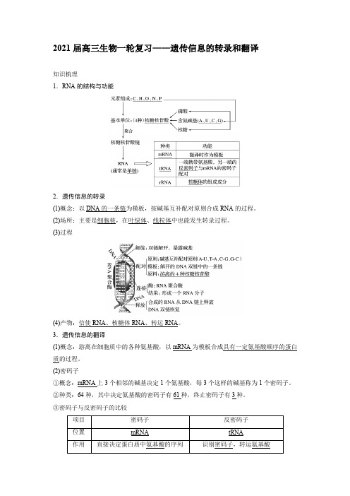 2021届高三生物一轮复习——遗传信息的转录和翻译