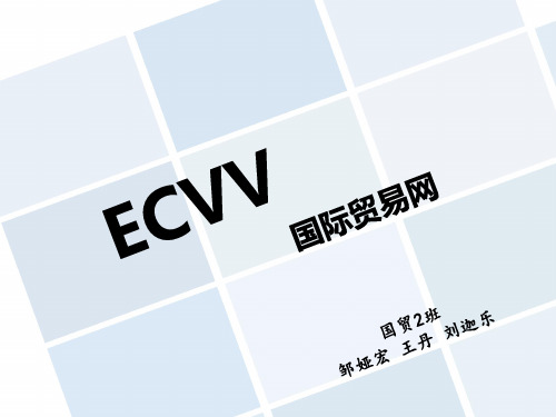 ECVV电子商务