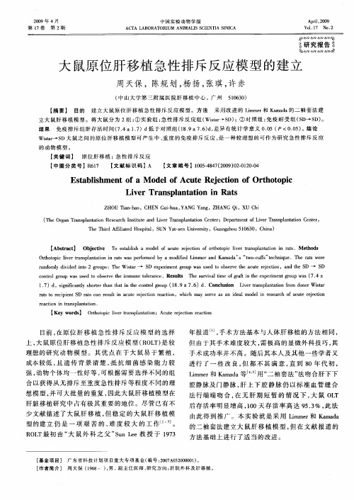 大鼠原位肝移植急性排斥反应模型的建立